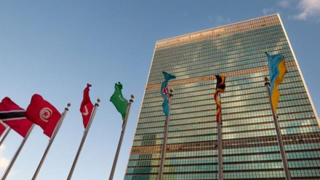 Law Society granted consultative status at the UN