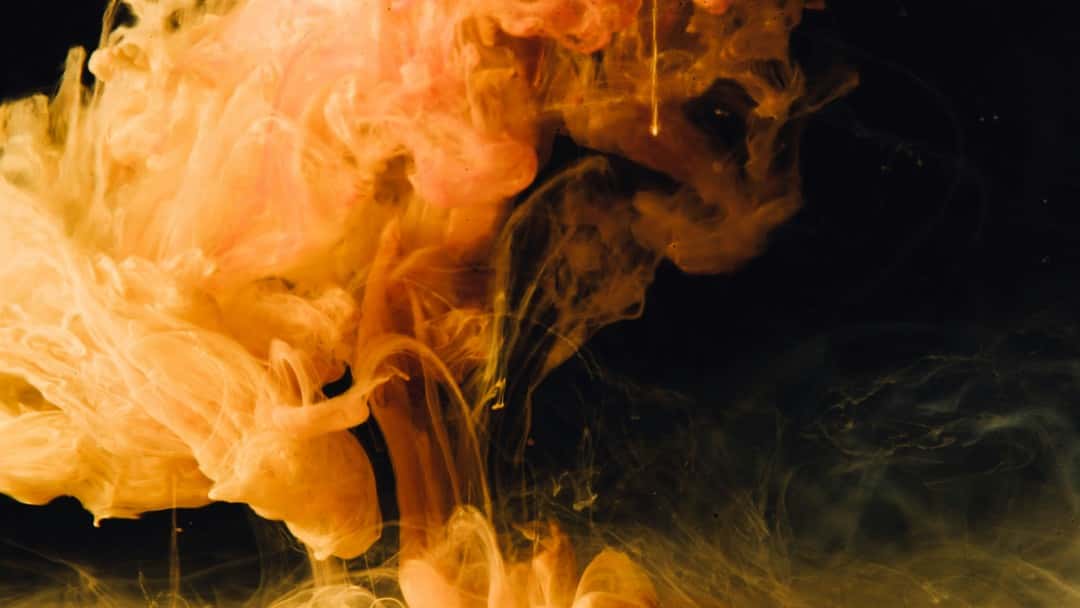 Making sense of the decision in Finch