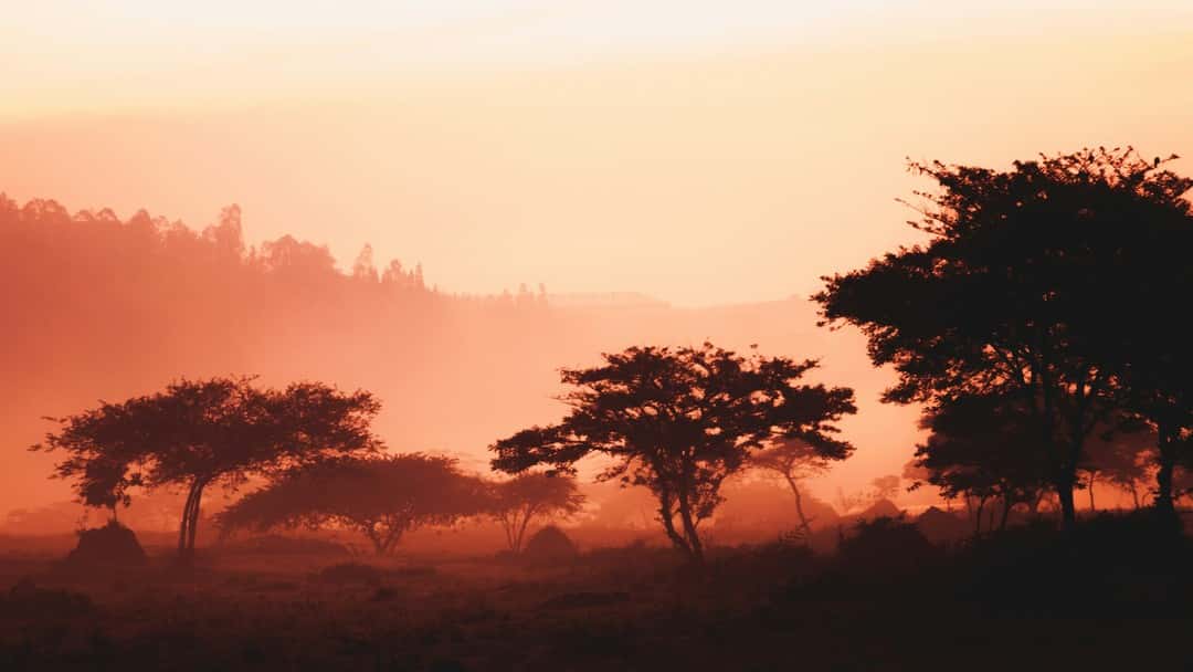 The Safety of Rwanda (Asylum and Immigration) Act 2024