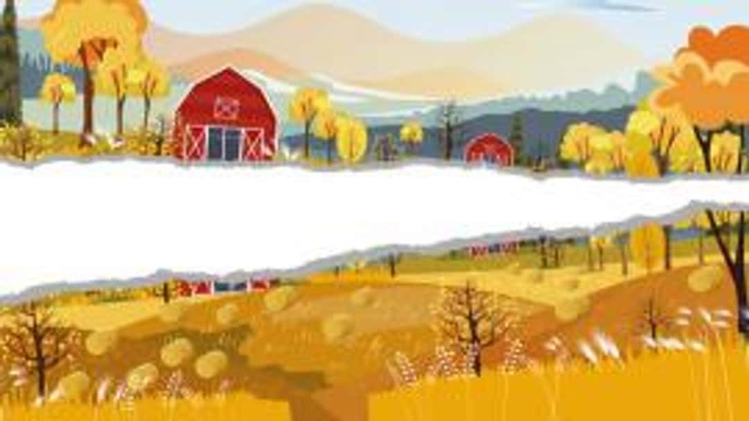 On the farm