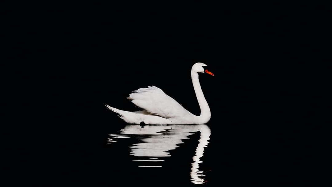 Don’t bottle it: a once-in-a-generation reset to water regulation