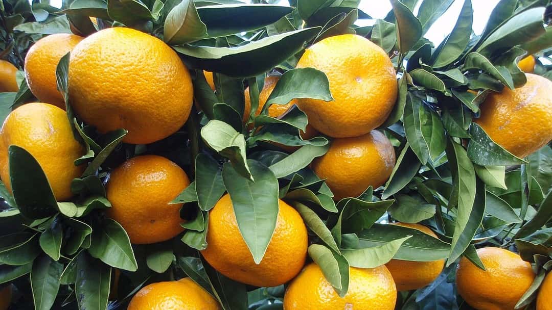 Concerns arise over SRA's record fines for AML failings: Are they just 'low-hanging fruit'?