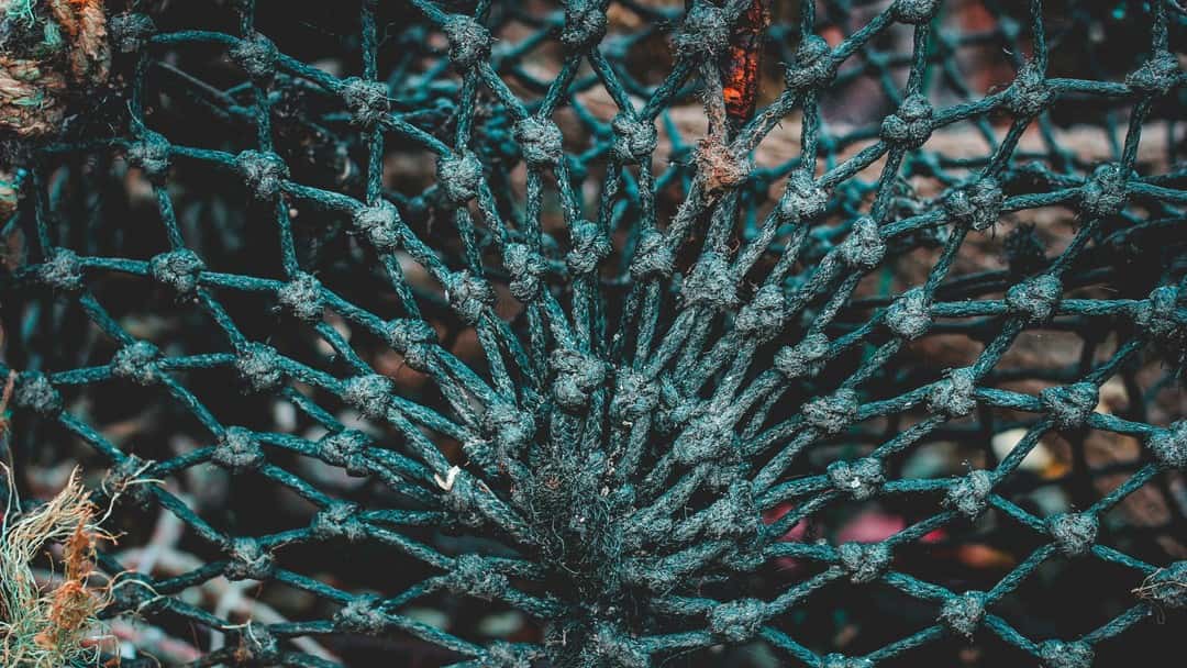 The cum-ex scandal explained: the enforcement net widens