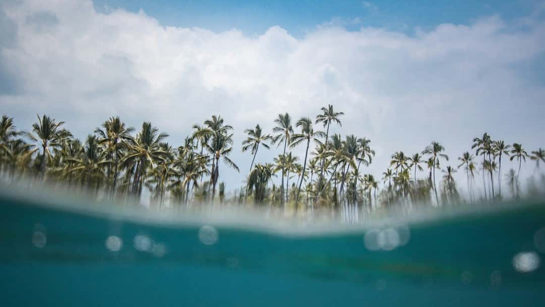 Washed out but not washed up – an opportunity remains to improve the arbitration landscape 