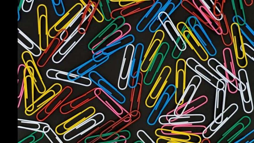 What's diversity got to do with the rule of law?