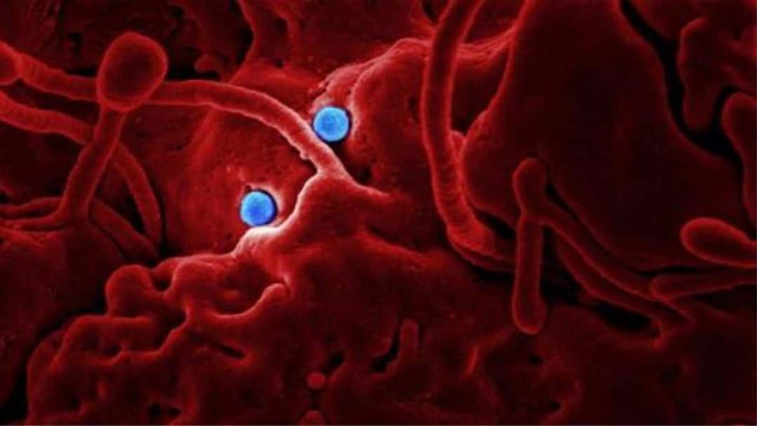 The courts: Give lawyers a safe working environment, says Law Society