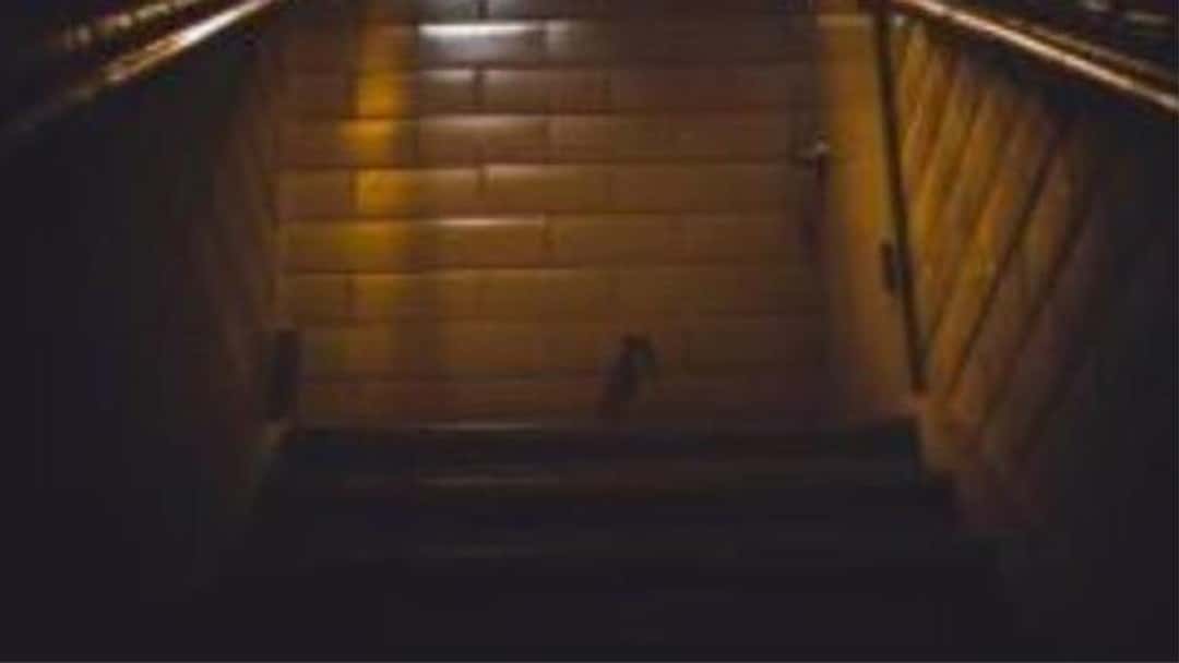 Criminal Firms at Serious Risk