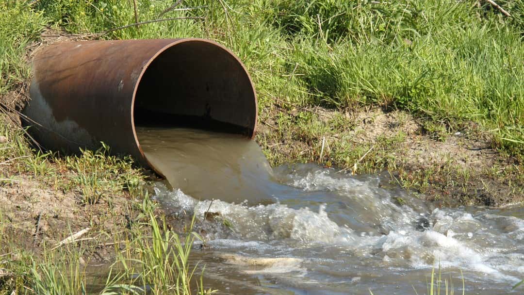 Sewage pollution claim affects beaches
