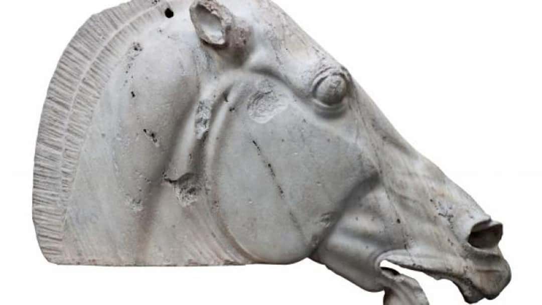 News in brief: week beginning 13 October 2014
