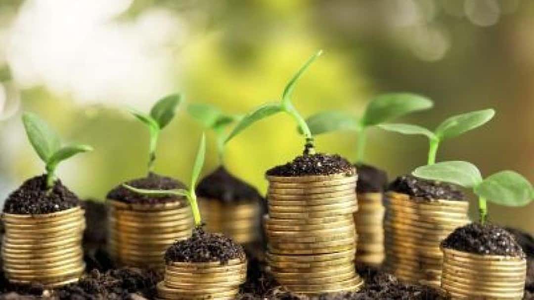 The truth of the non-dom matter