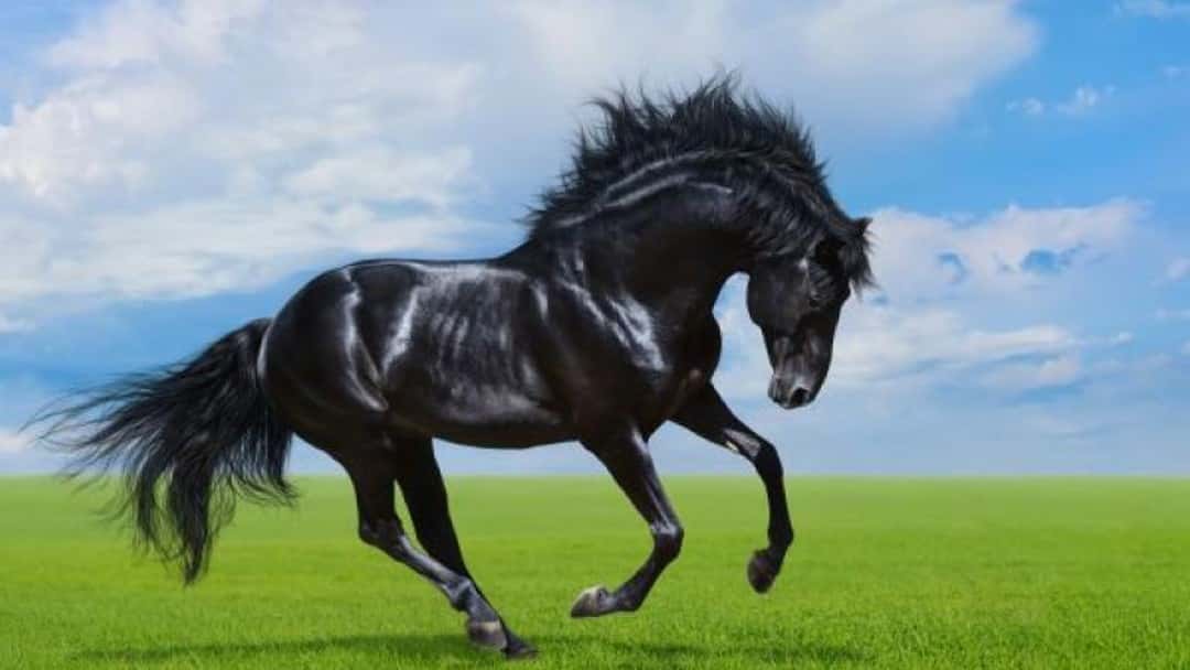 Lloyds faces potential job cuts for employees  