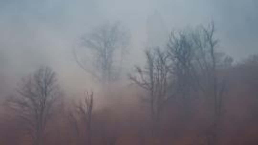 The Dreamvar nightmare