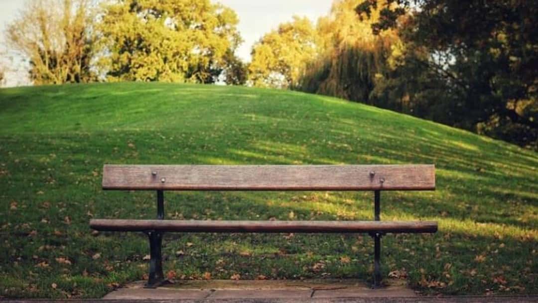 Village greens: the trials and tribulations of registration