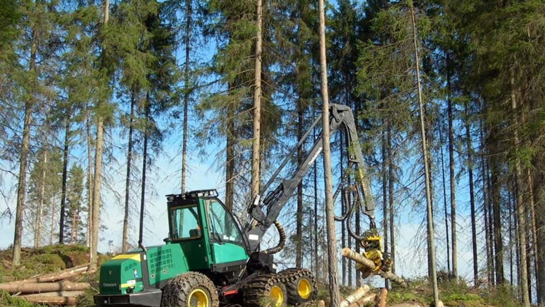 New guidance launched for deforestation-free supply chains  