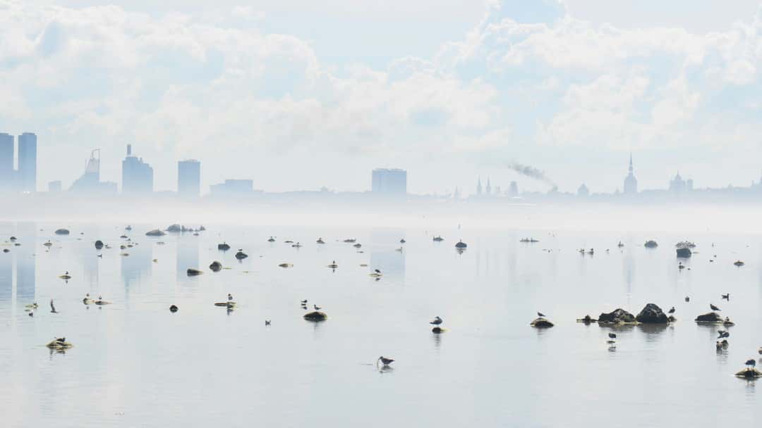 The Post Office scandal highlights the need for vigilance when it comes to legal privilege