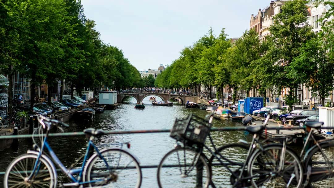 Byfield Consultancy expands operations in Benelux