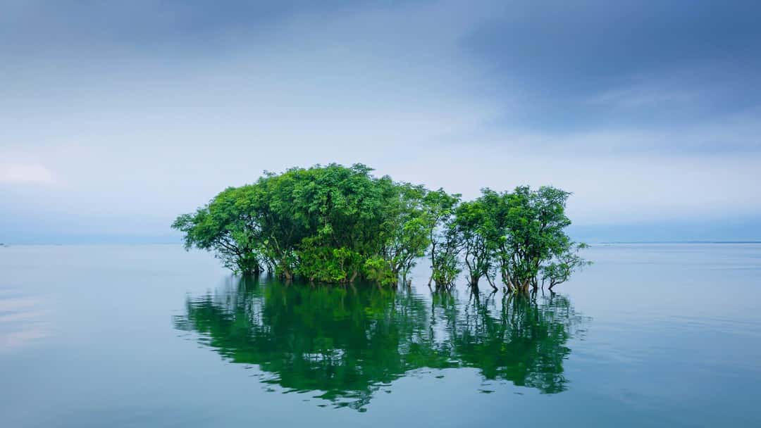 As Bangladesh seeks extradition of ousted leader Sheikh Hasina, will India honour its obligations under their extradition treaty? 