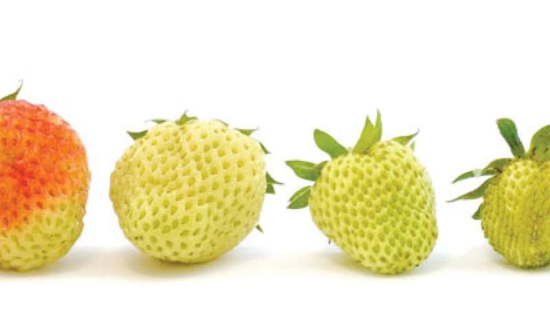 Brand proposition: Developing and launching Access Legal