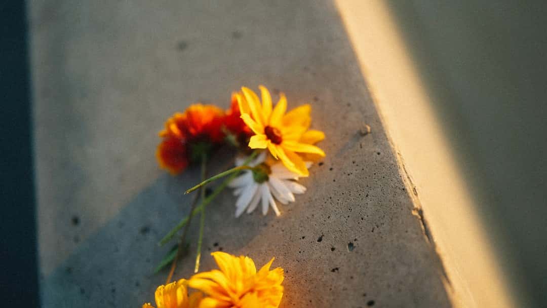 The proposed Hillsborough law