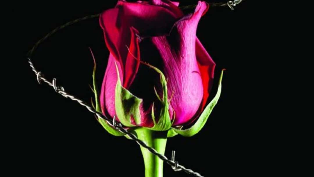 Relationship secrets: How to institutionalise new clients in 100 days