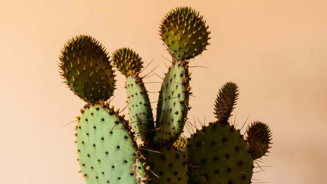 The FCA’s finalised guidance on the new anti-greenwashing rule