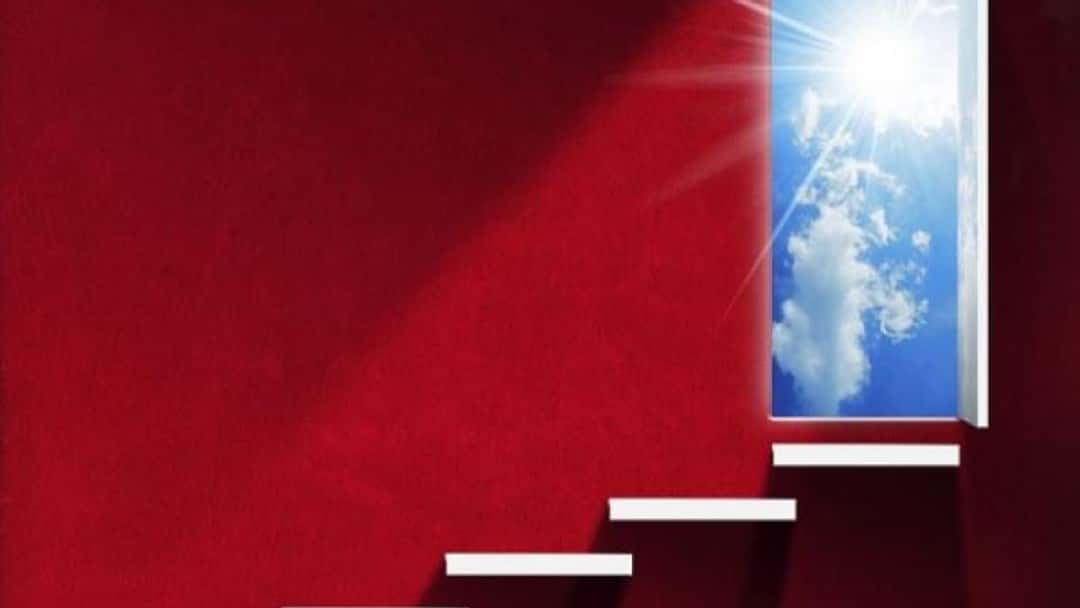 Lived values: How to create an ethical high-performance culture