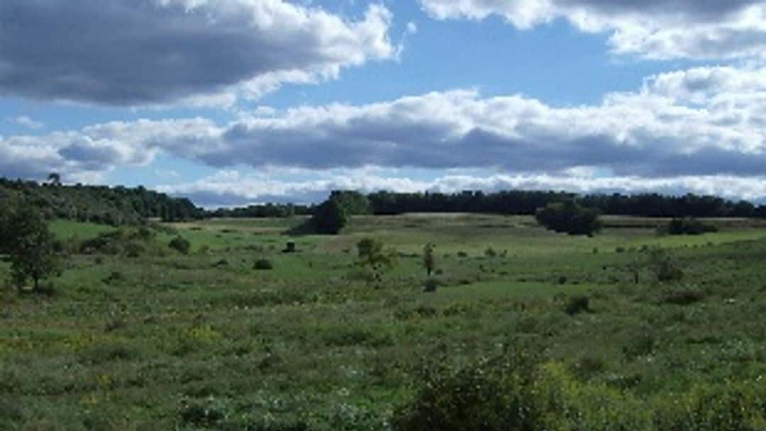 The Right To Roam: Balancing Landowners’ Interests and Public Access