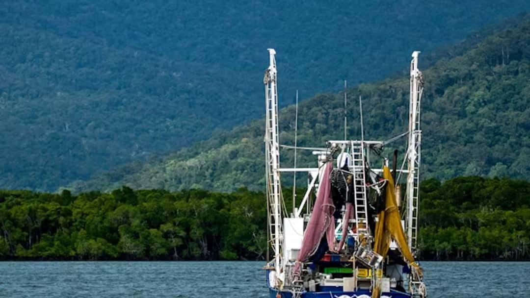 UK-EU deal sparks fishing and energy hope