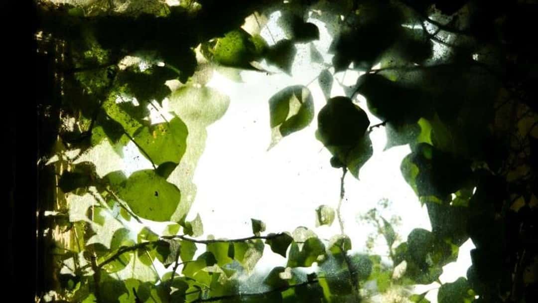 James Churchill v Merthyr Tydfil CBC – a knotty problem for the Court of Appeal?