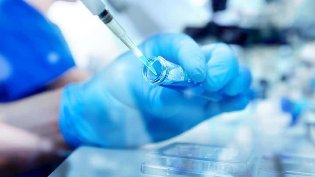 IVF workplace rights