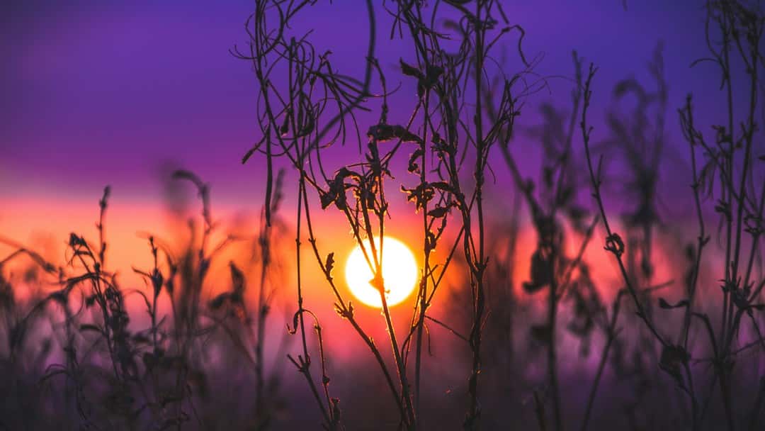 Sorry seems to be the hardest word… changes afoot for the law of apologies