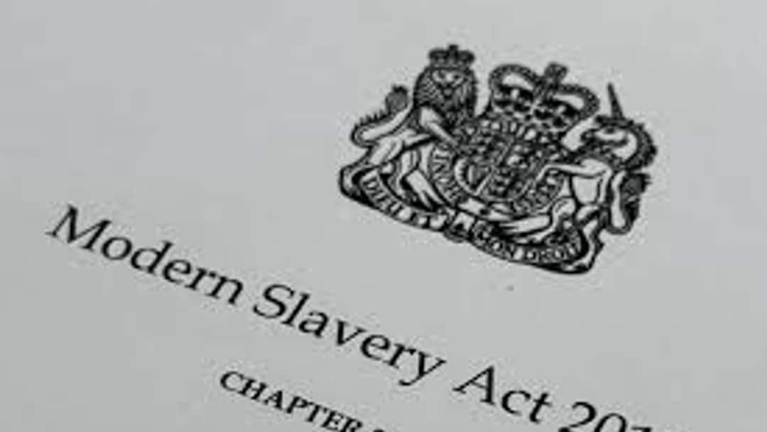Trafficking victim's driving convictions examined