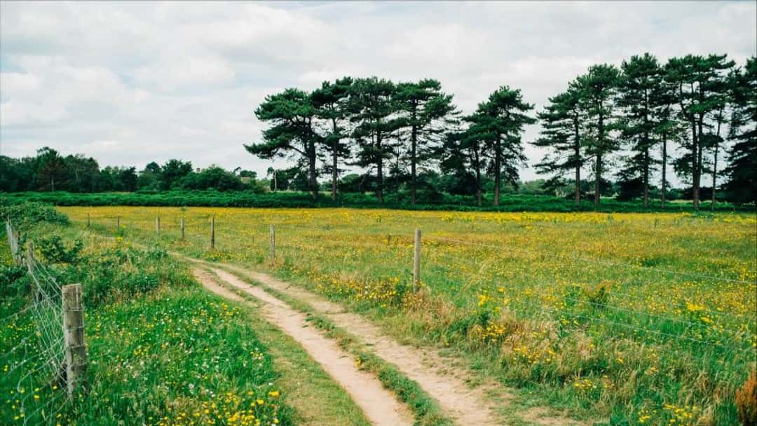 Legal battle over Greater Manchester green belt