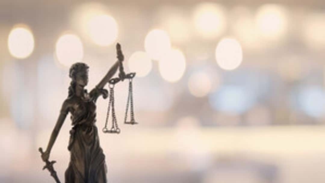 Judicial deference and the hollowing out of welfare rights