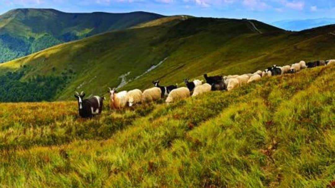 Farmers confront energy firm in High Court