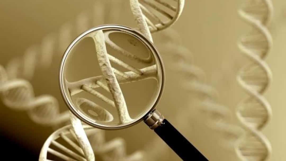 Courts to order DNA testing to cut courtroom battles