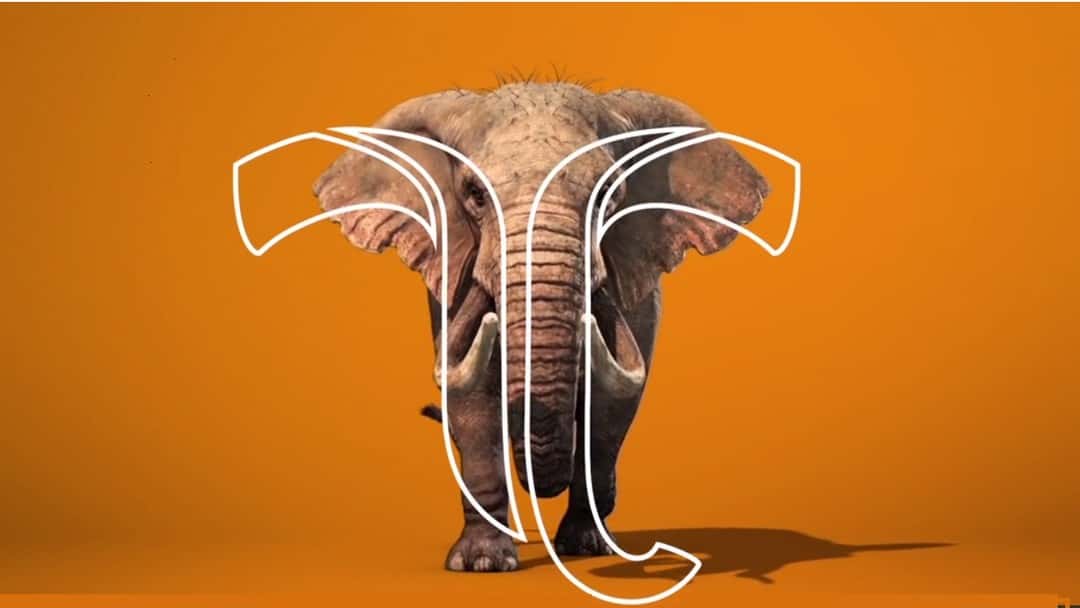 Fieldfisher advises Tembo on £14 Million Series B funding round