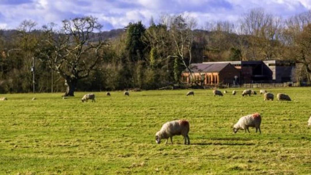 Judicial review allows Welsh farmers to challenge