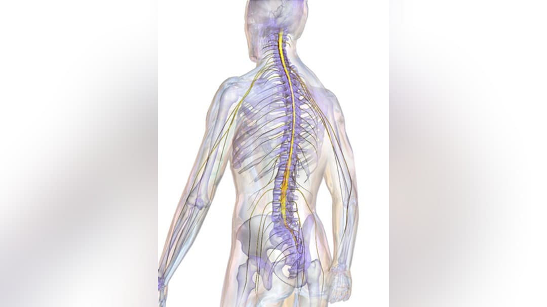 Calls for urgent reform of spinal injury care