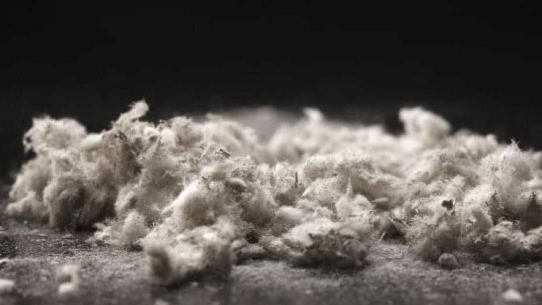 Reform set to aid asbestos victims