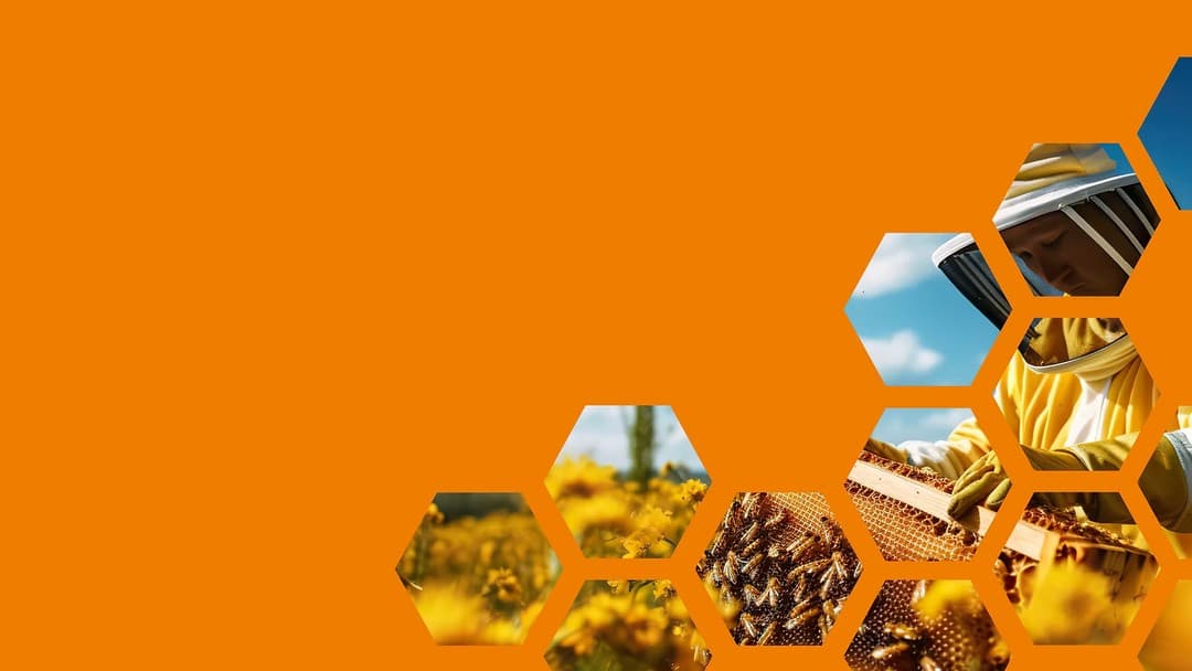 Browne Jacobson supports Apiary Capital investment