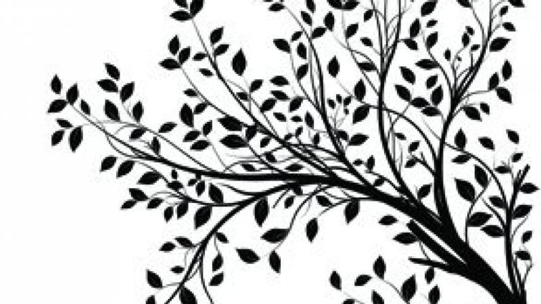 Embracing the multi-discipline model