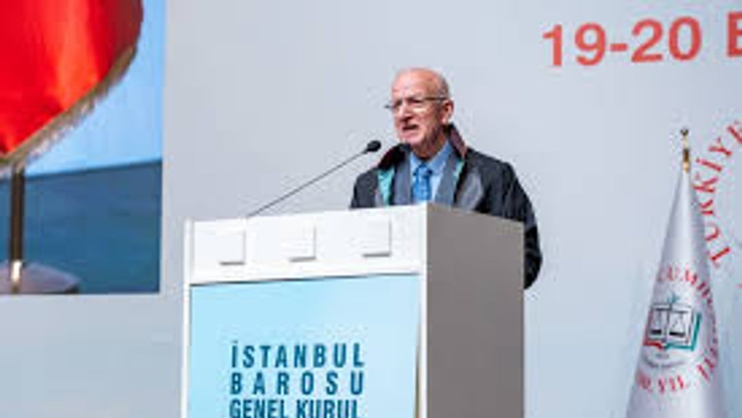 İbrahim Özden Kaboğlu, president of the Istanbul Bar Association
