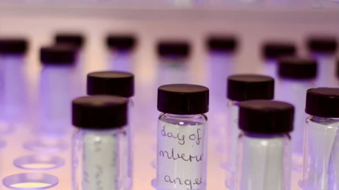 Calls grow in Westminster to deliver compensation for blood scandal victims this year