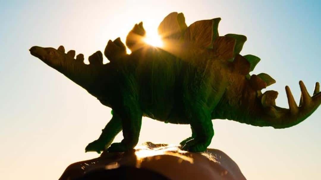 Dinosaurs and dancing elephants: better business performance