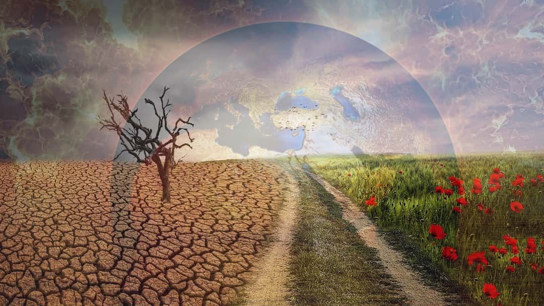 IBA LPRU launches climate registry: legal profession's collective response to climate crisis