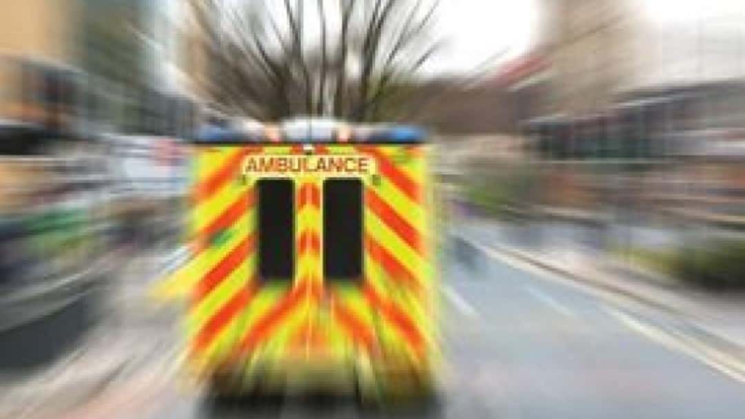 FOIL attacks whiplash report