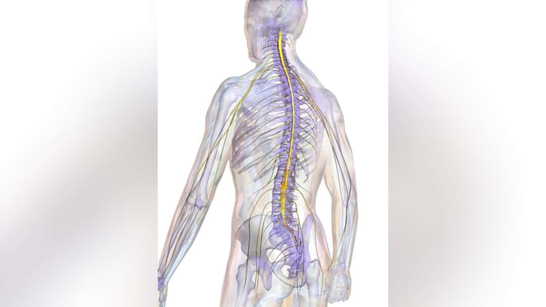 Calls for urgent reform of spinal injury care
