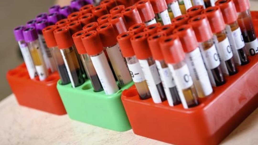 Blood donations: Sexual preference and science