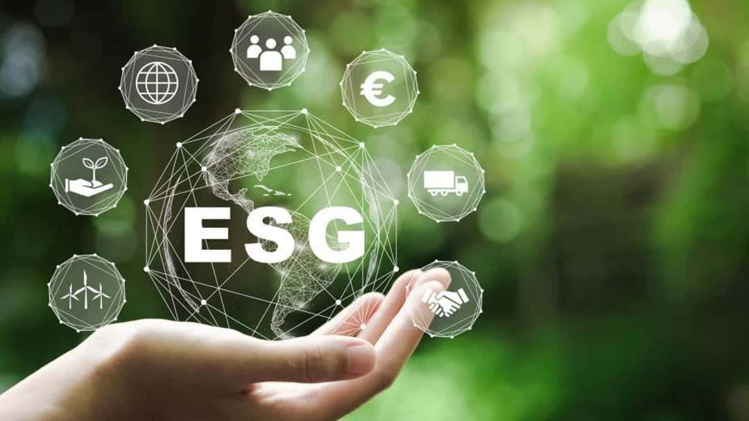 Discovering a more sustainable way to do business